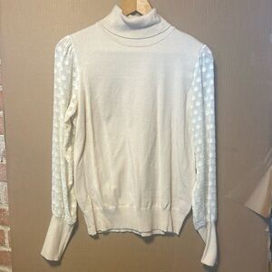 Sheer sleeve turtleneck